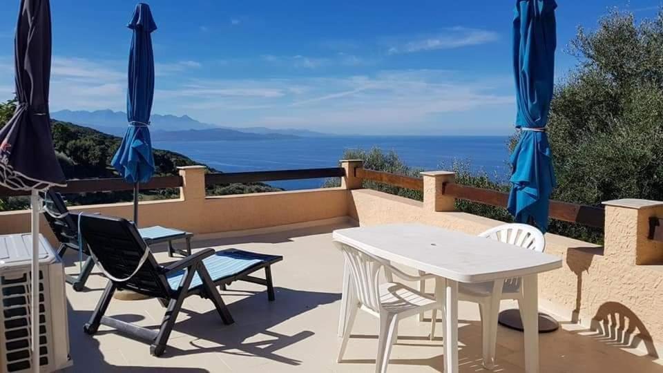 Location Cap Corse Apartment